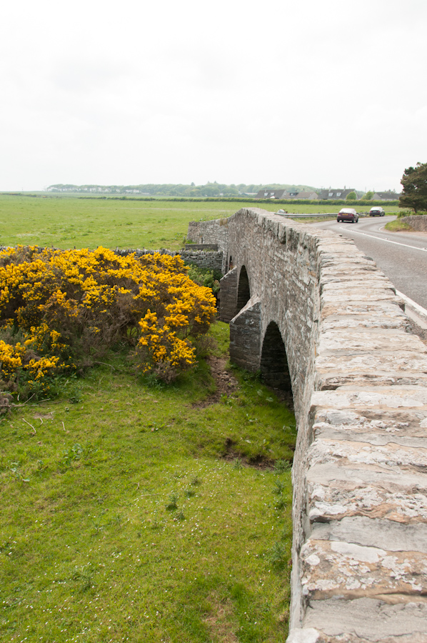Bridge of Haster